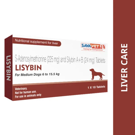 Lisybin - Medium